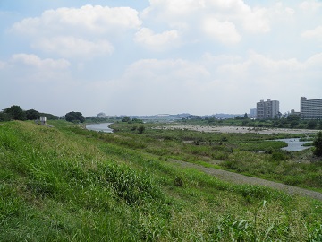 多摩川中流左岸：和泉多摩川方面を望む