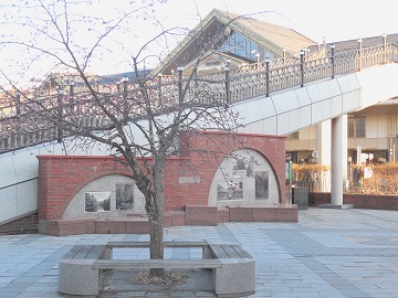 軽井沢駅北口のオオヤマザクラ広場