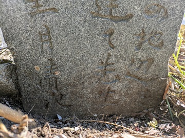tLO̖ꂽi2025.7.31j